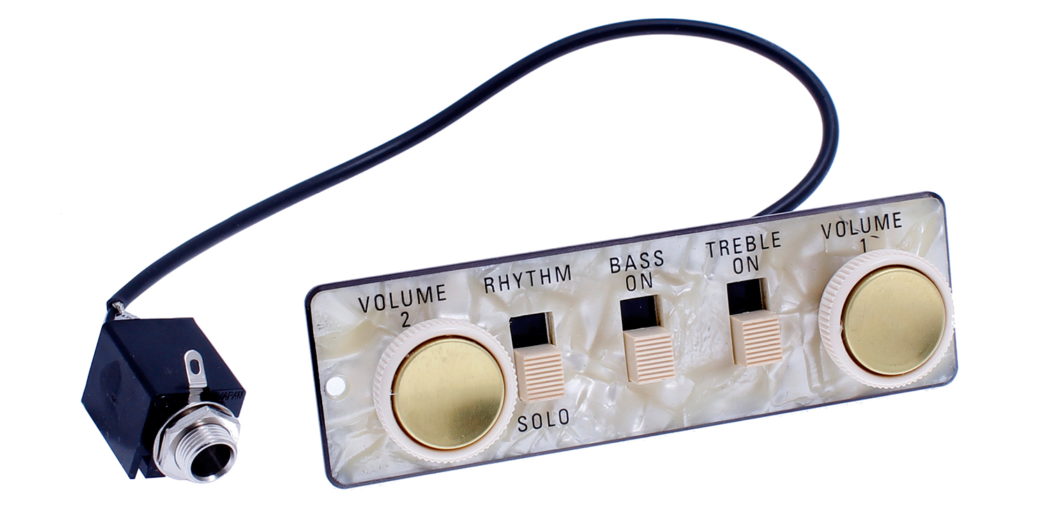 PU-6421-000 Wired Control Plate for Hofner Style Bass